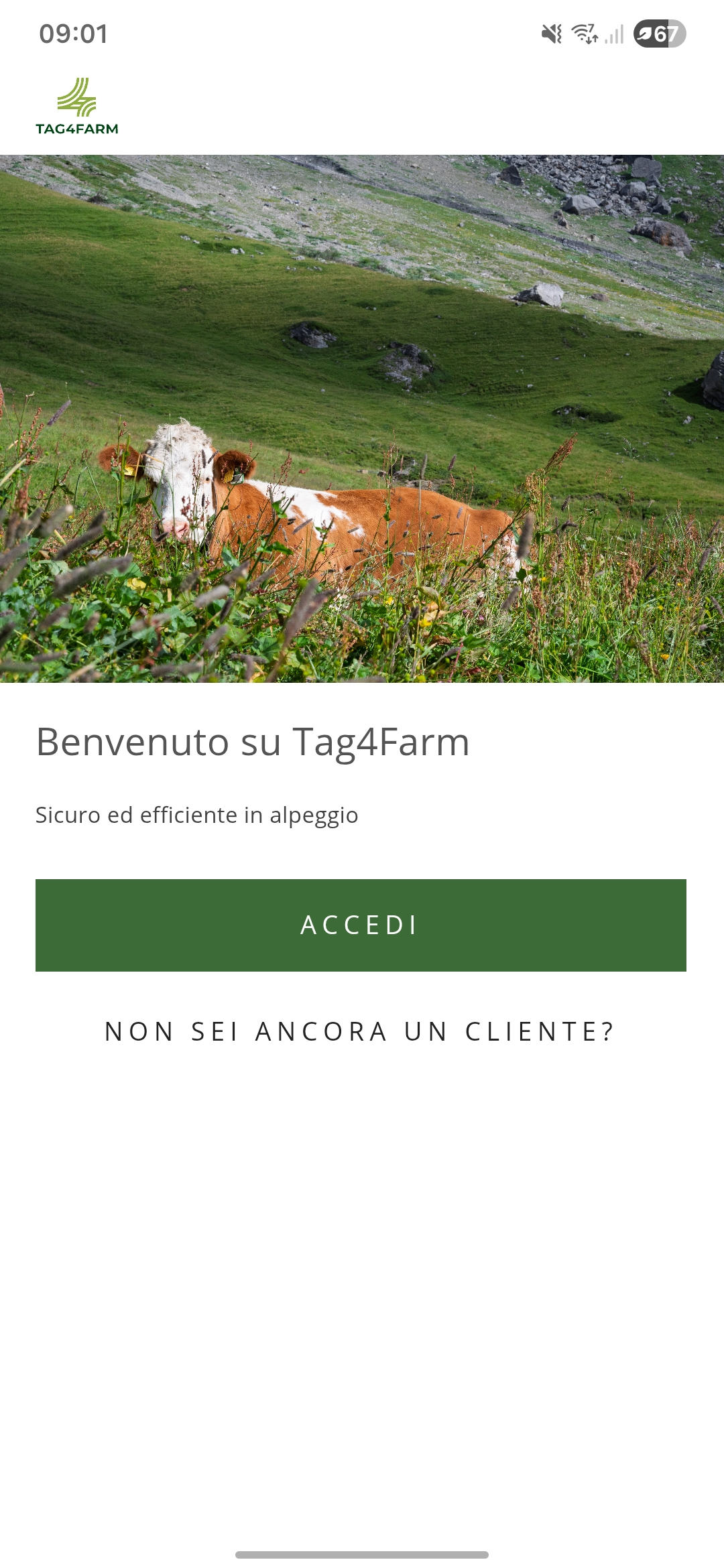 login_it1