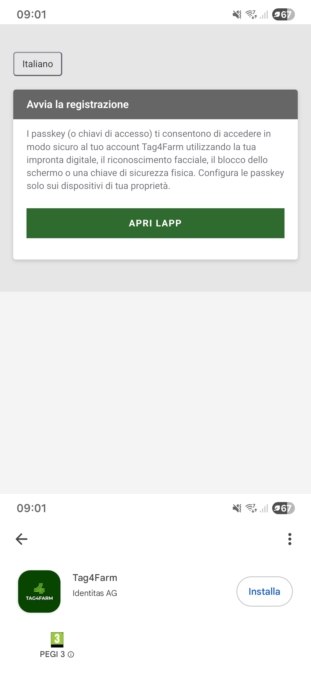 play_store_it