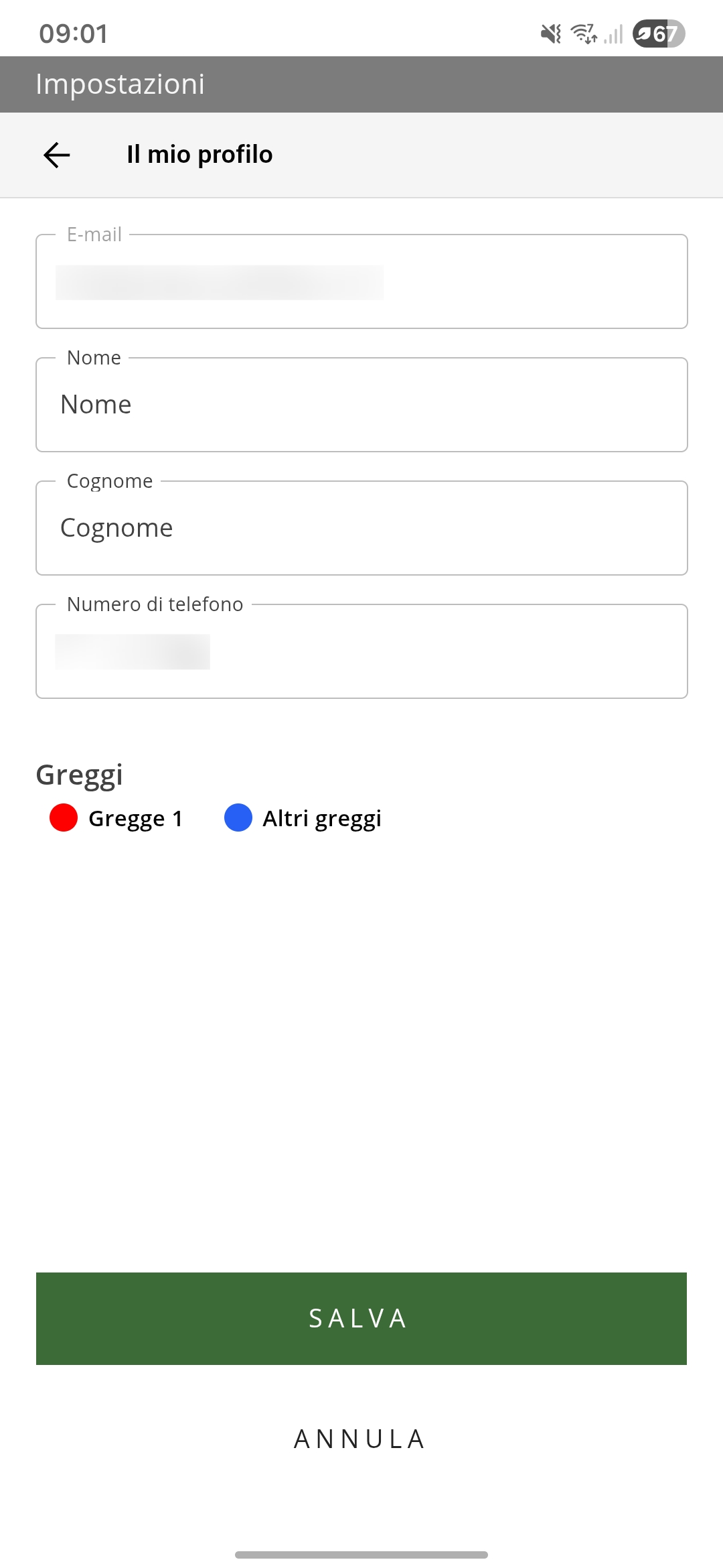 settings_profile_it